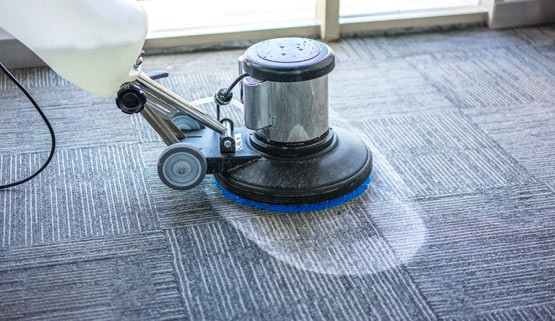 Professional Carpet Repair Services