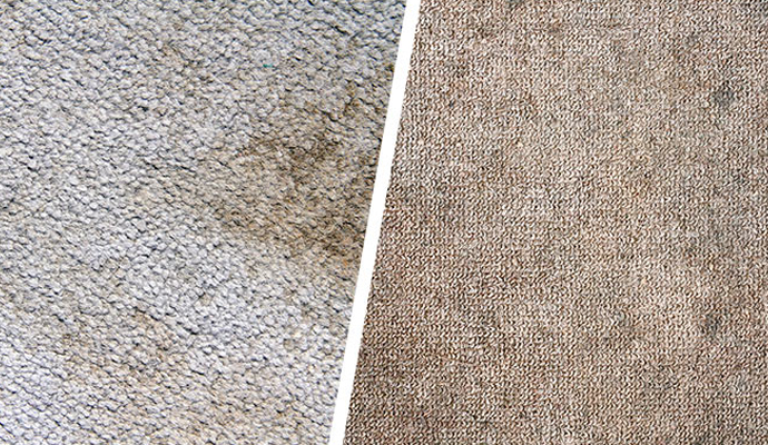 old and dried stain removed from carpet