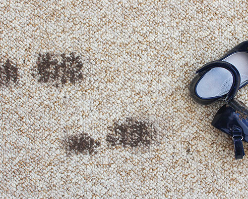 Mud and dirt stain in carpet