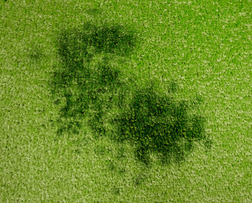 Oil and grease stain on the carpet